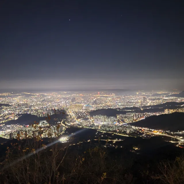 커여운시바
