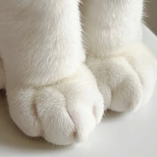 바니바니당근당근