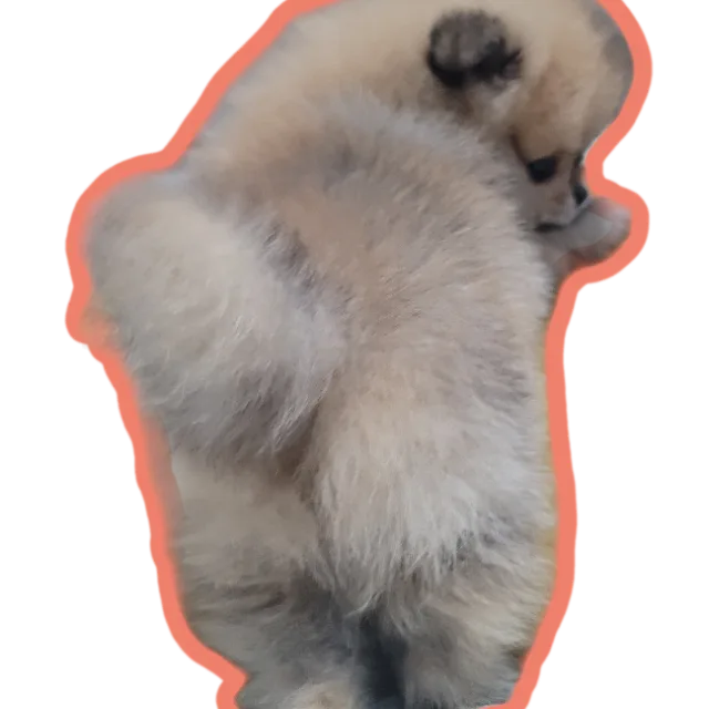 춘봉이
