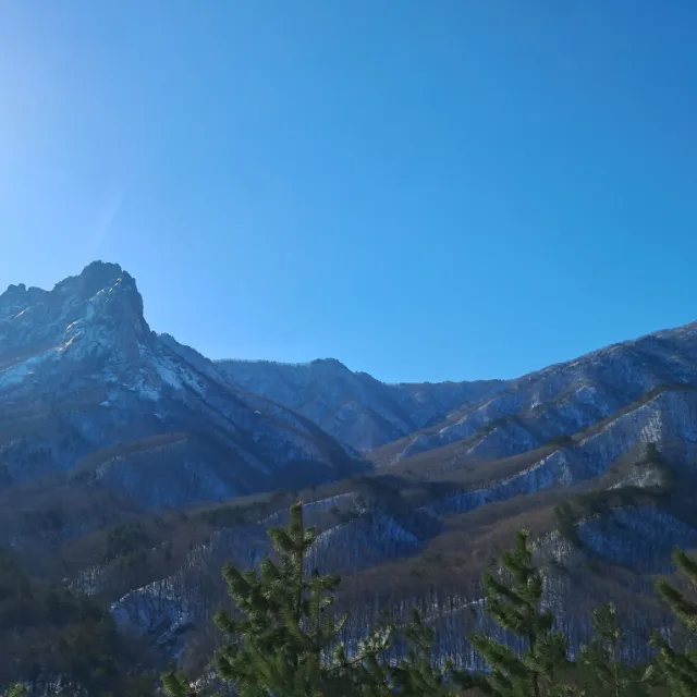 하루하루