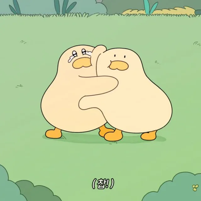 뽀또