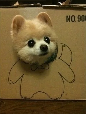 복구만