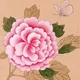 한글