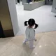 병아리이이
