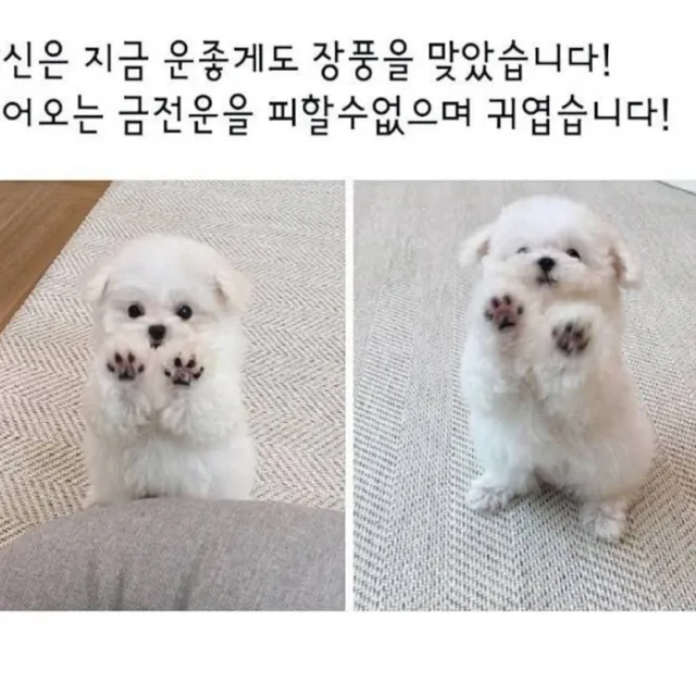 피곤
