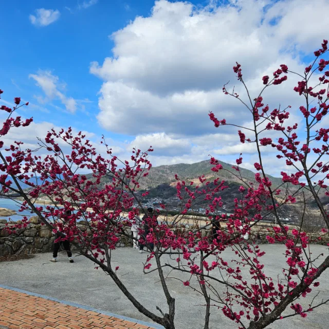 선샤인