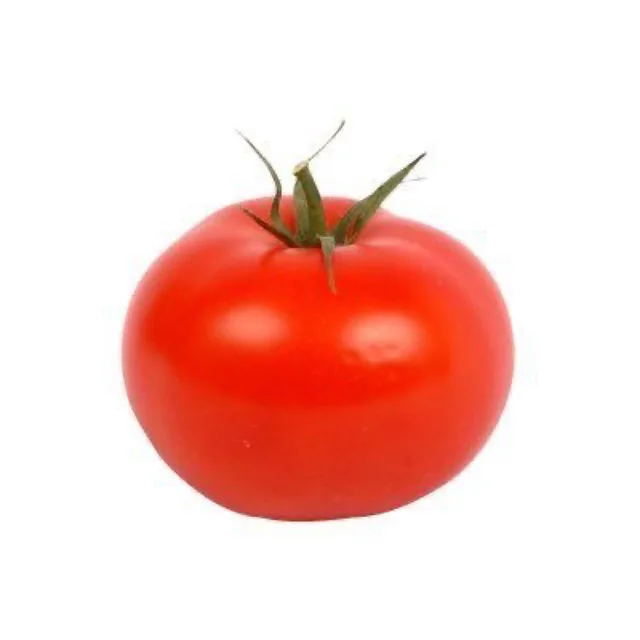 토마토