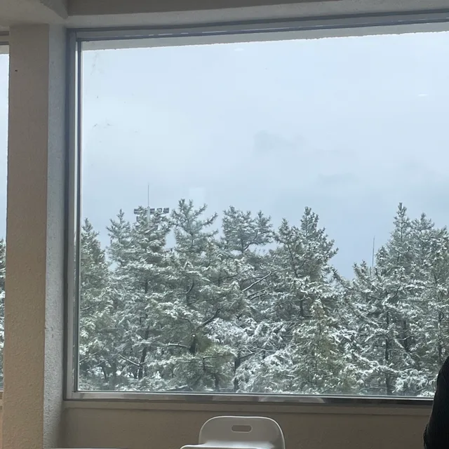 윈터
