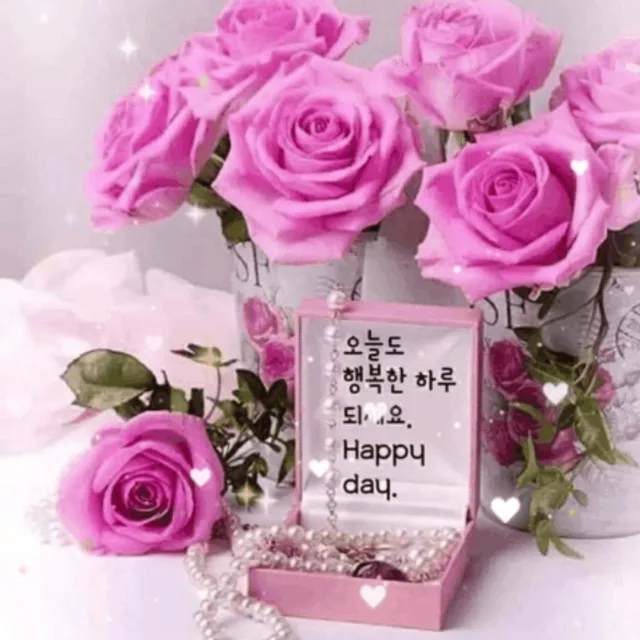 아침햇살
