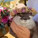 퐁퐁