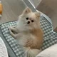 안녕하세요