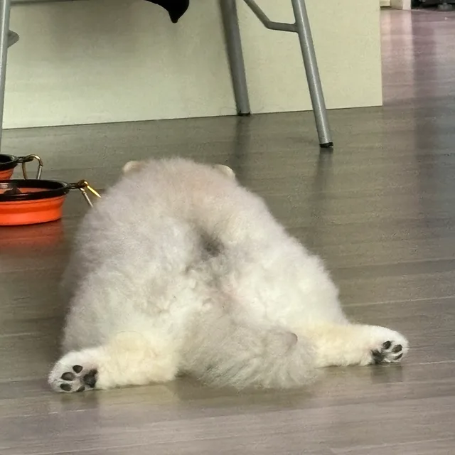 현미잡곡밥