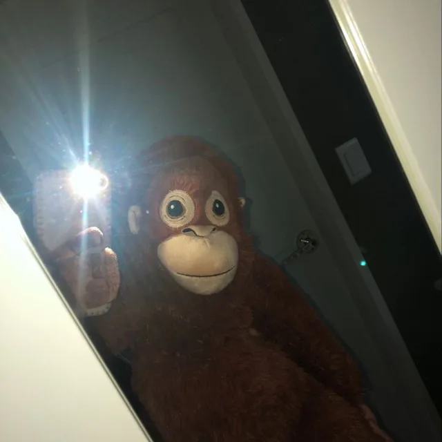 피카손