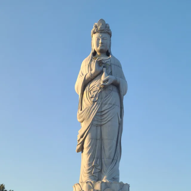 절충불가