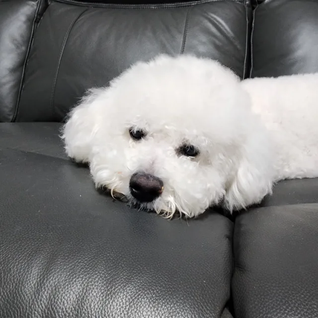 뀨우우우우