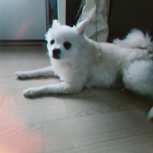 춘자