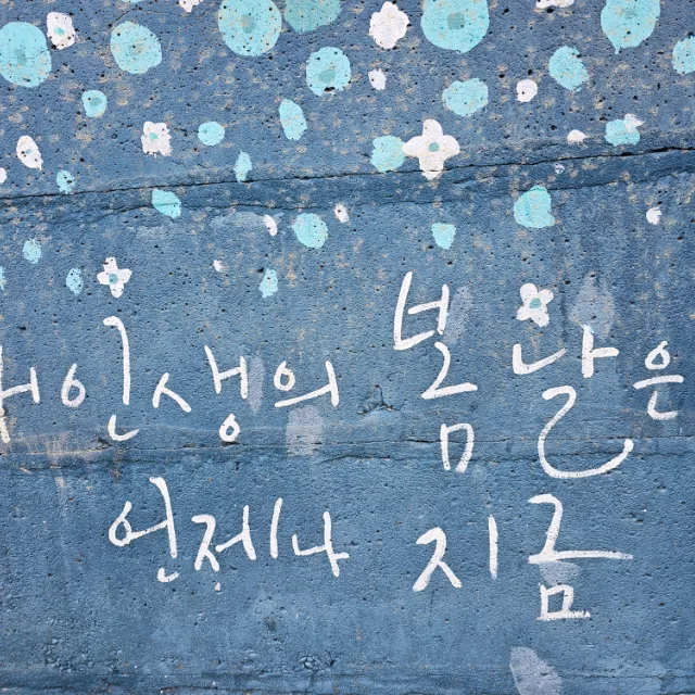 쭈으니