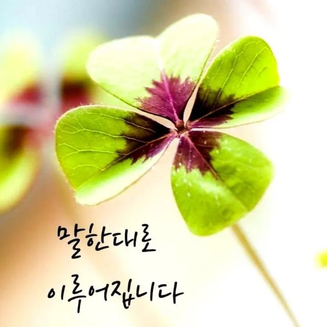 벼락식혜