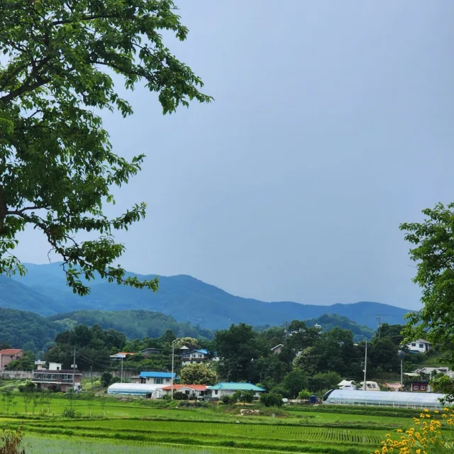 오늘