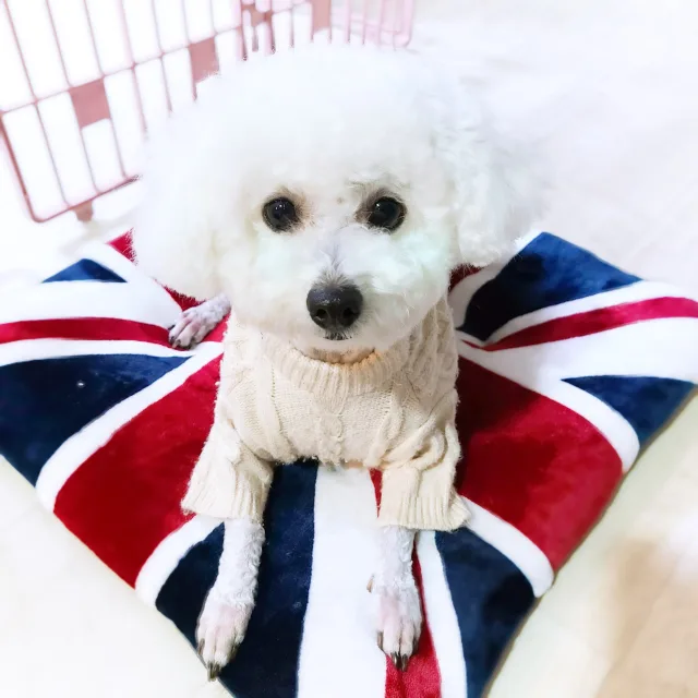 레몬