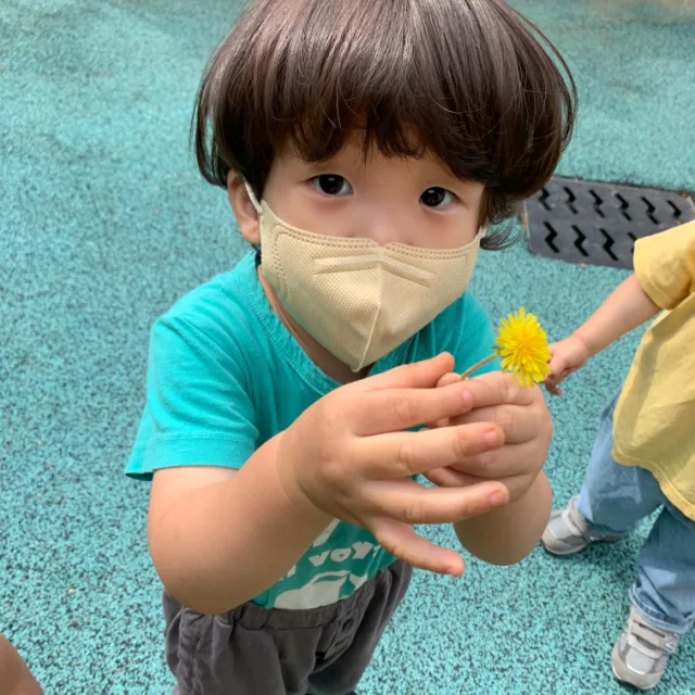 쫑쫑롤롤
