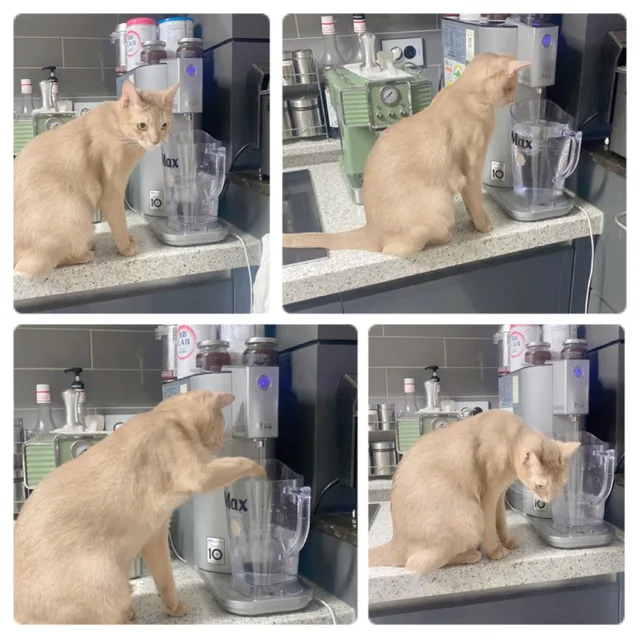 토끼친구22