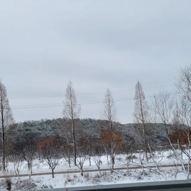 차마