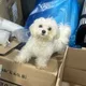 오오륙