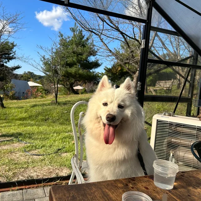 동규