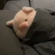 우카킁킁