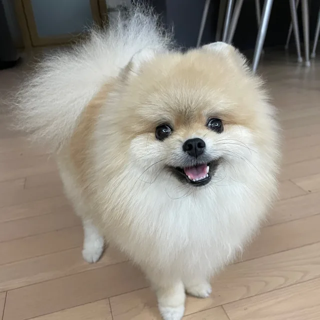 별빛바다