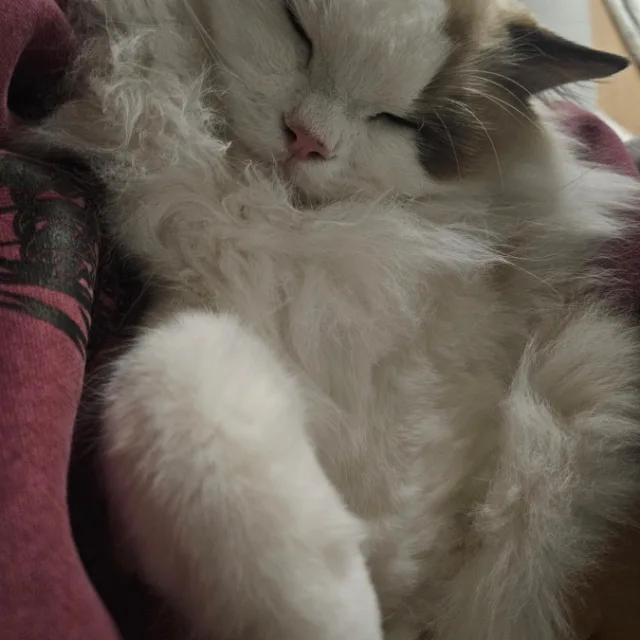 하슬하늘
