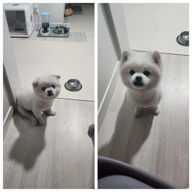 예스