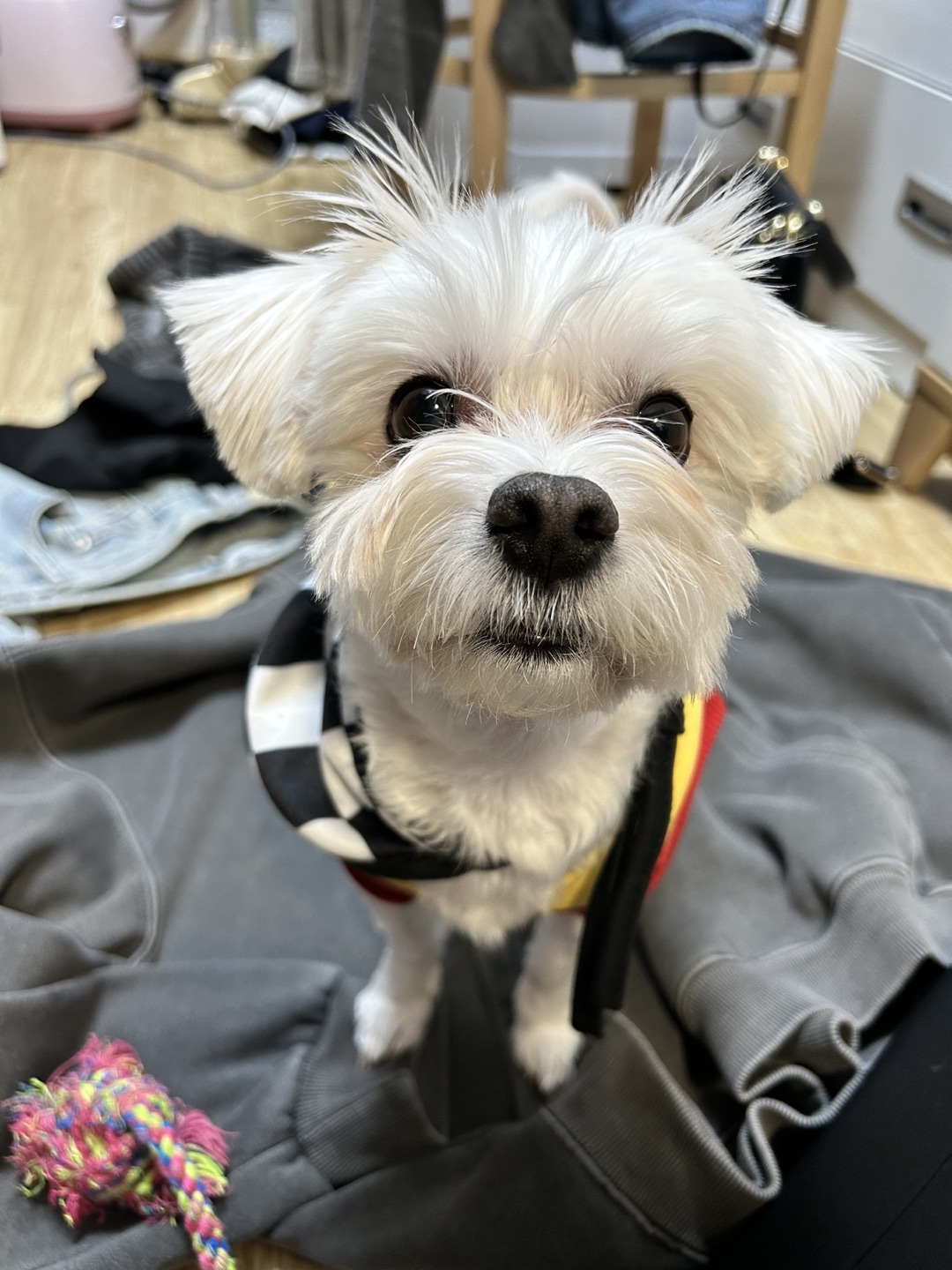 츄파츕쓰