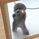 호랑이범