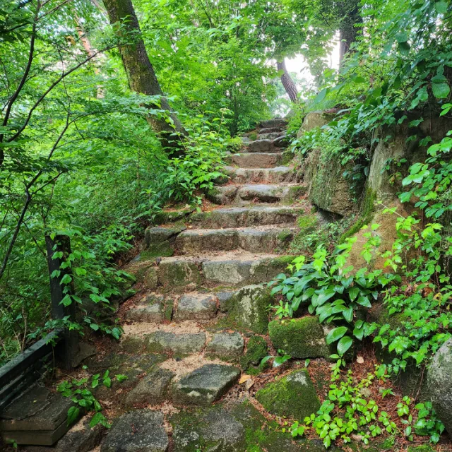 열매