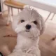 눈누난나