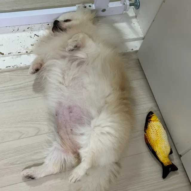 매너