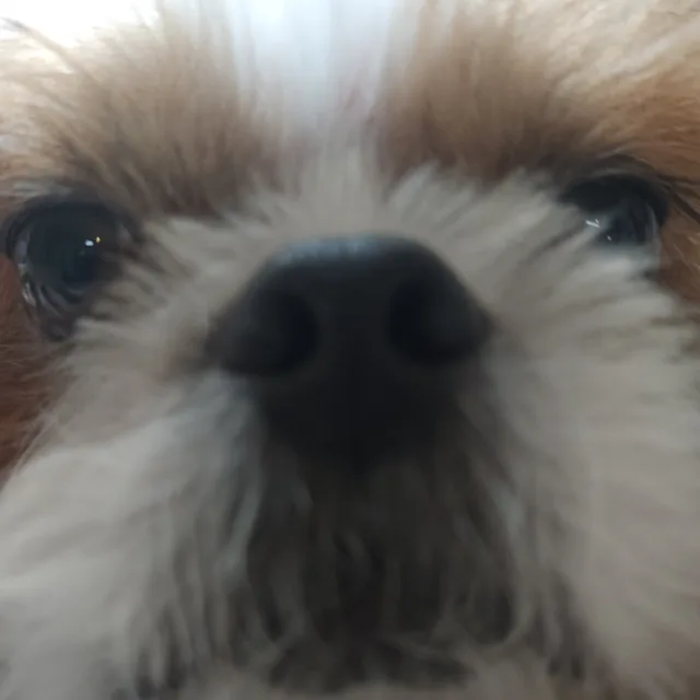 비밀사용자