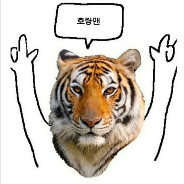 고고헤이