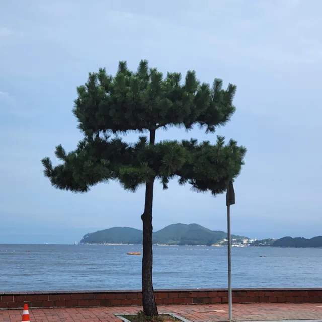 인생을즐겁게
