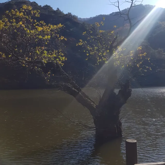 가즈아