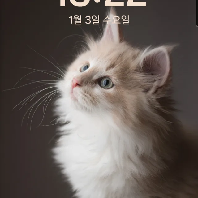 내인생