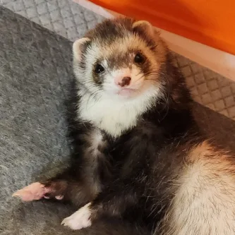 민꽁