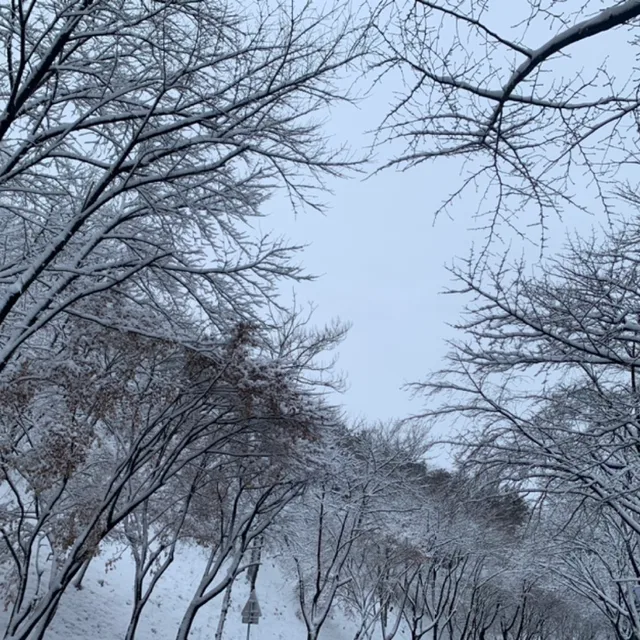 부리또