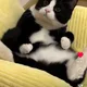 T3t