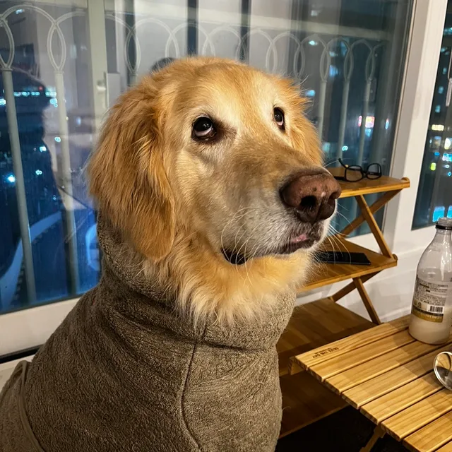 당킬만식