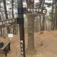 백운