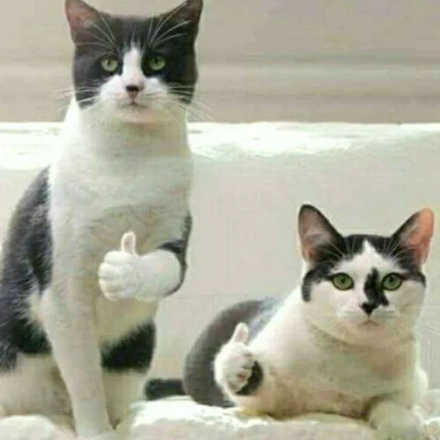 까꿍맘
