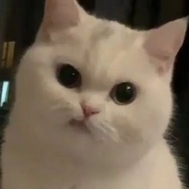 쏘야